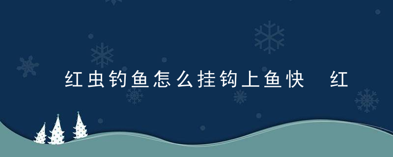 红虫钓鱼怎么挂钩上鱼快 红虫如何快速挂钩